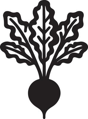 Bold Line Art Beetroot Vegetable Icon Graphic Design