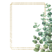 Eucalyptus green leaves and branches with gold framed. Watercolor hand painted floral template illustration. Square frame for church wedding invitations, save the date cards. Isolated from background png