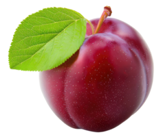 Plum with leaf isolated on transparent background png