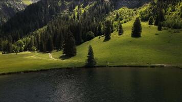 Incredible drone shot of a Lauenensee lake in the Swiss Alps with a tree and a boat near the shore. Gstaad, Switzerland. video