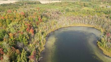 An aerial view of a lake surrounded by trees video