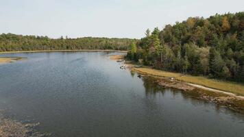 A lake surrounded by trees and forest video