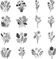 Set of hand drawn flowers, branches and leaves in line art style. vector