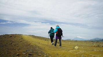 Trekking In Mountains, Group Of Tourists And Dog Walking In Nature, Carrying Backpacks, Using Sticks video