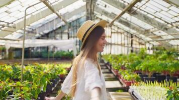 portrait of beautiful happy woman in greenhouse, lady is walking, smiling and looking at camera video