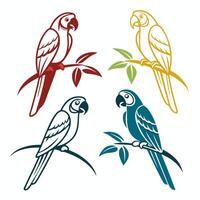 four parrots sitting on branches with leaves vector