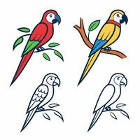 set of illustration of parrot on branch vector