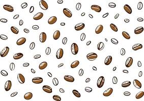 Coffee beans on white background vector