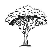 tree icon Black and White simple outline illustration vector