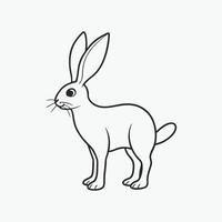 A rabbit is depicted standing in a line drawing. vector