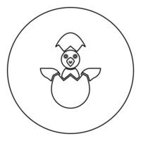 Chicks hatch from the egg baby bird cracked eggshell icon in circle round black color illustration image outline contour line thin style vector