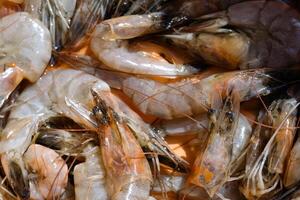 Closeup Frozen Shrimp with Orange Background. Shrimp bought in the market is washed and cleaned in an orange basin. Food Ingredient. Raw Seafood. Textured Backgrounds photo