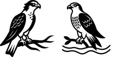 Wildlife Design Osprey Perched on a Branch Minimalist vector