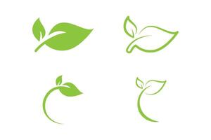 Green and leaf logo design template vector
