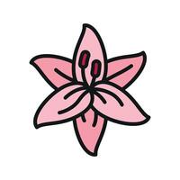 Lily flower icon features a graceful and elegant design, perfect for floral branding, invitations, or nature-inspired projects. vector