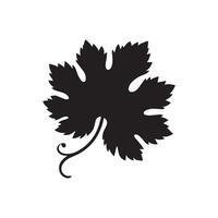 maple leaves in white background vector