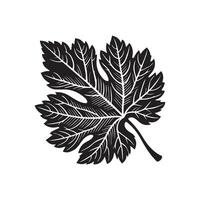 oak twig isolated on white background vector