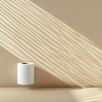 White paper towel roll creates soft shadows and highlights against a simple background photo