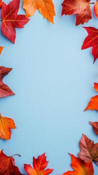 Colorful autumn leaves arranged on a blue background creating a seasonal display photo