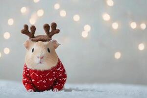 Cute guinea pig wearing reindeer antlers and a sweater in festive holiday setting photo