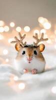 Cute hamster in festive antlers surrounded by soft lights during holiday season photo