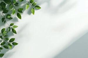 Pair of beige shoes placed on a light floor with green leaves in a peaceful indoor setting photo