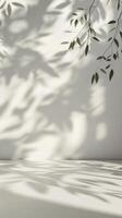 Shadows of leaves creating patterns on a minimalist white wall and floor in a sunlit room photo