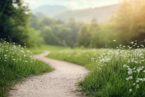 Winding gravel path through lush green fields and blooming wildflowers in a serene landscape photo
