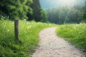 Winding gravel path through lush green fields and blooming wildflowers in a serene landscape photo
