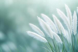 Delicate white flowers sway gently in soft sunlight during a calm morning in nature photo