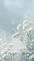 Delicate white flowers gently swaying in a soft and dreamy atmosphere photo