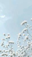 Delicate white flowers gently swaying in a soft and dreamy atmosphere photo