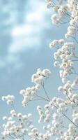 Delicate white flowers gently swaying in a soft and dreamy atmosphere photo