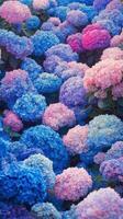 Vibrant hydrangea flowers bloom in a garden with shades of blue and pink during springtime photo