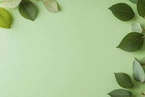 Soft green leaves gracefully arranged on a light background for a peaceful atmosphere photo