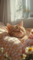 Cat relaxing on a cozy blanket surrounded by flowers in warm sunlight photo