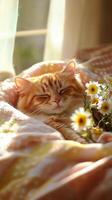Cat relaxing on a cozy blanket surrounded by flowers in warm sunlight photo