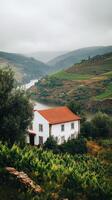 Scenic view of a vineyard house by a tranquil river in a lush valley during overcast weather photo