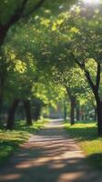 Lush green pathway through a serene park on a bright sunny day photo