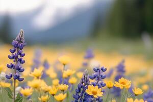 Colorful field of wildflowers in bloom with mountains in the background during spring photo
