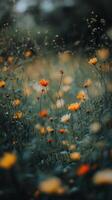 Colorful wildflowers sway gently in a serene meadow during the golden hour photo