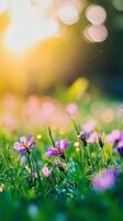 Vibrant purple flower blooming in a natural landscape during a sunny day in spring photo