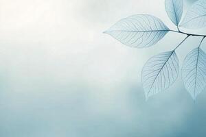 Delicate translucent leaves against a soft blue background in a calm environment photo