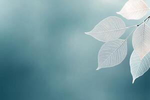 Delicate translucent leaves against a soft blue background in a calm environment photo