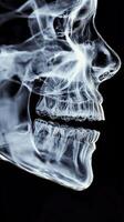 Detailed view of human skull demonstrating jaw structure in X ray imaging photo