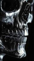 Detailed view of human skull demonstrating jaw structure in X ray imaging photo