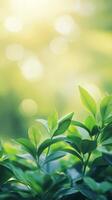 Soft green leaves frame a serene blurred background in a tranquil setting photo
