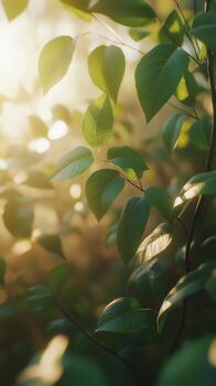 luz de sol filtración mediante lozano verde hojas en un sereno natural ajuste foto