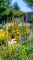 Bright yellow flowers bloom in a vibrant garden during a sunny afternoon photo