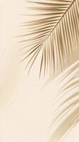 Elegant palm frond casting soft shadows on a light background indoors photo